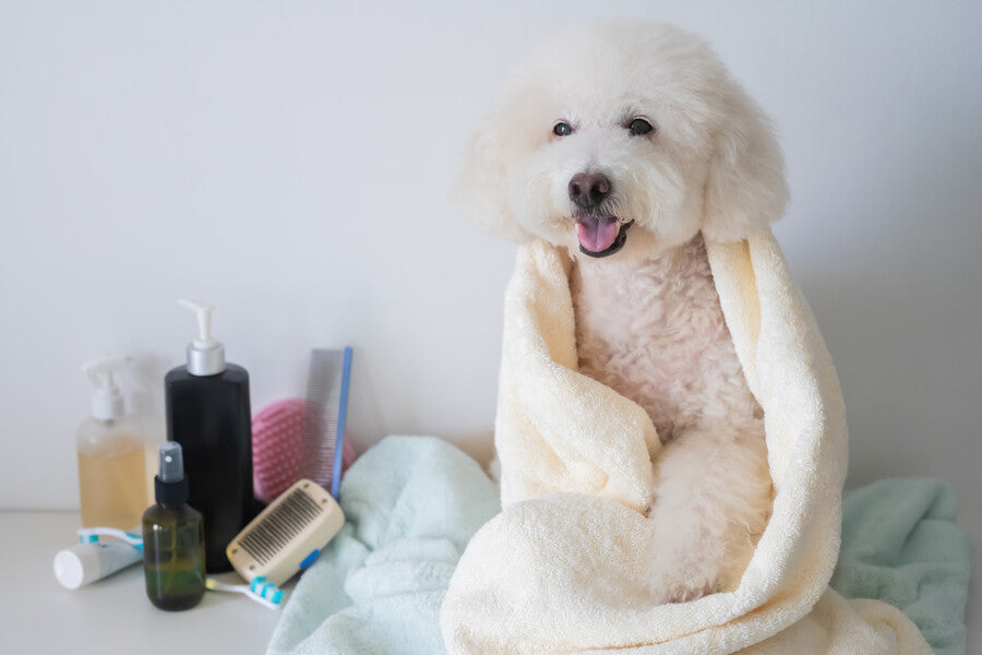 Shampoos