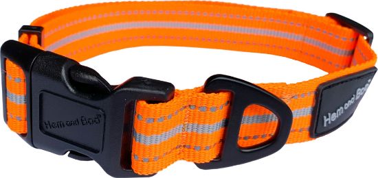 Hem and Boo Adjustable Sports Collar Orange