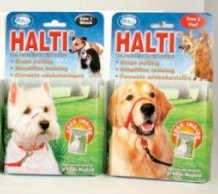 Halti Training Lead