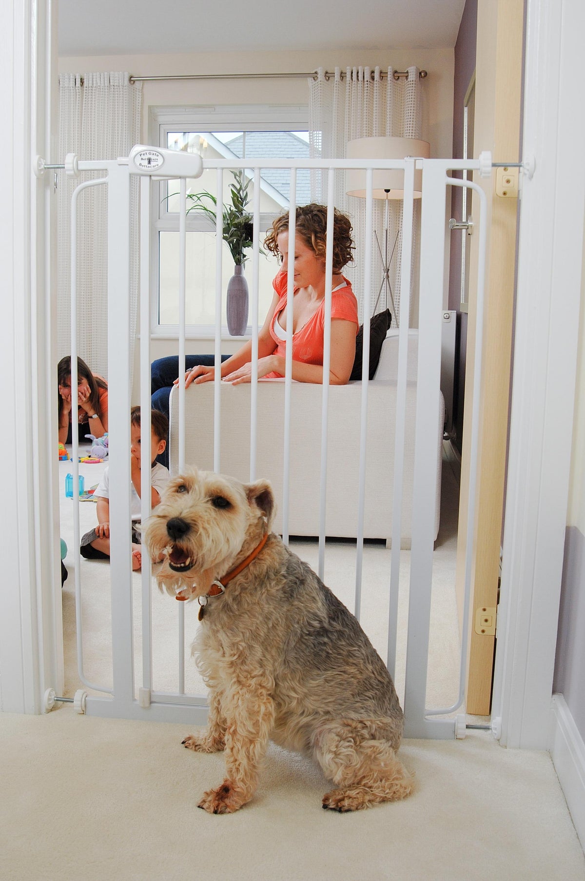 Bettacare Dog Gate