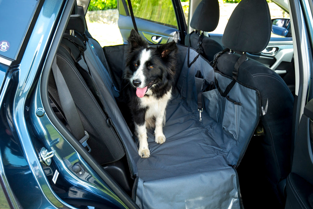 Henry Wag Pet Hammock