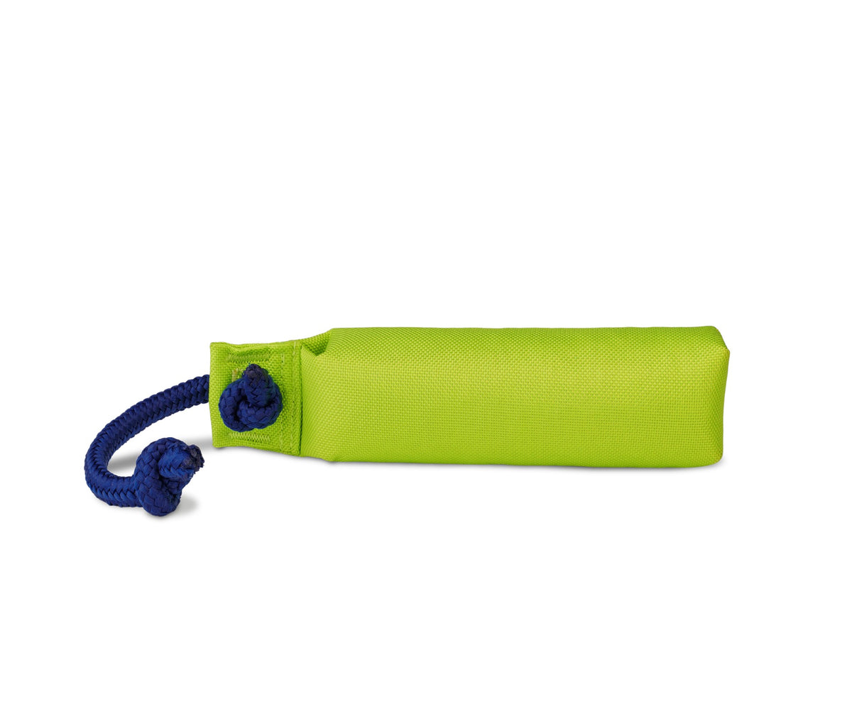 Coachi Training Dummy