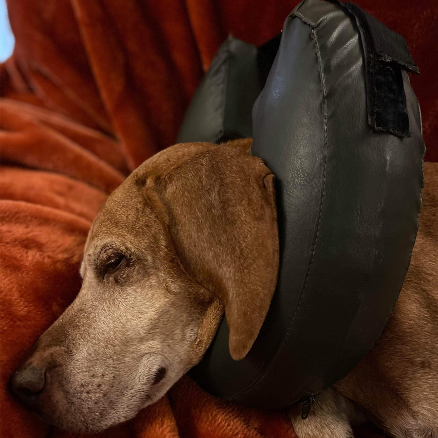 Comfy Collar