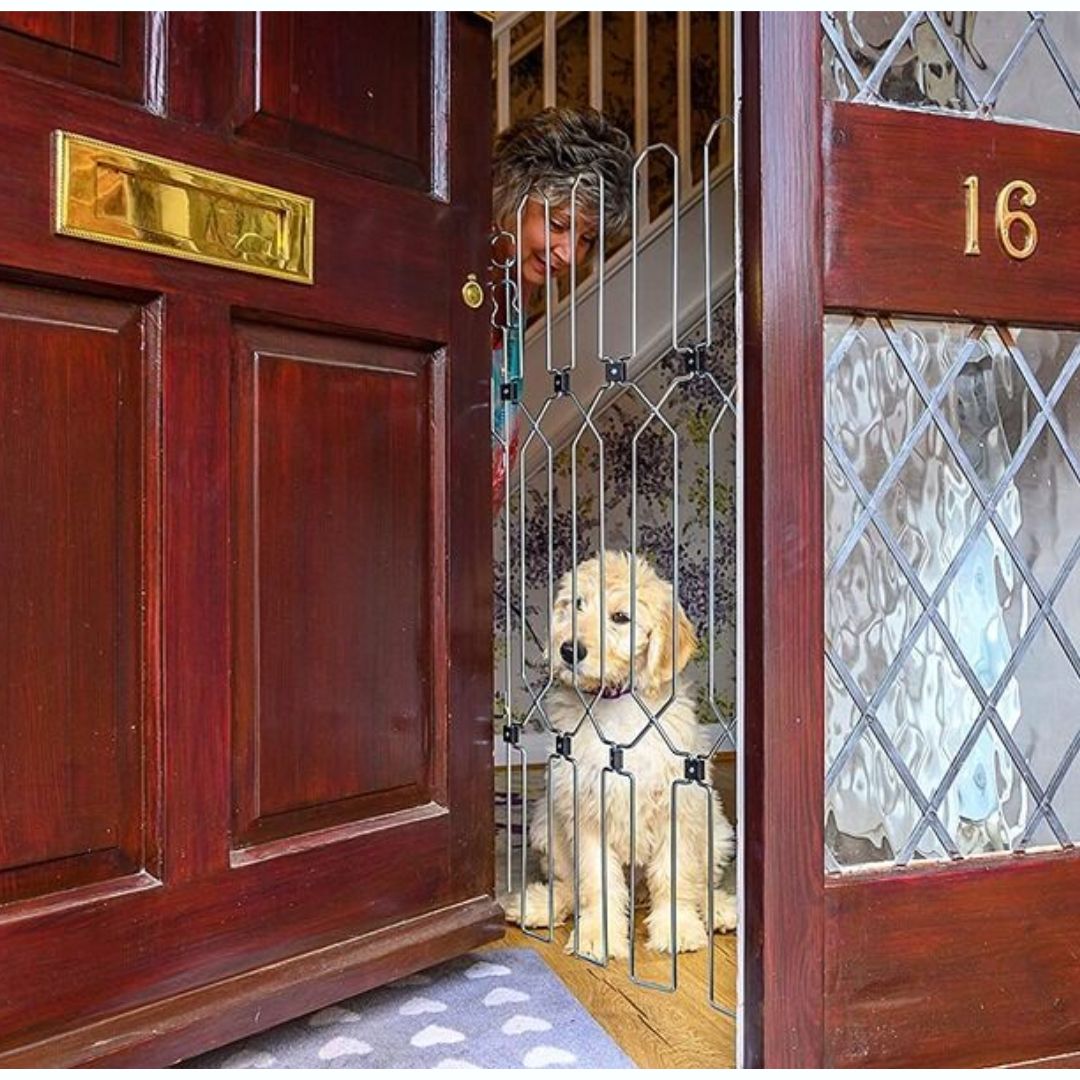 The Dog G8 Company Front Door Safety Gate in Chrome