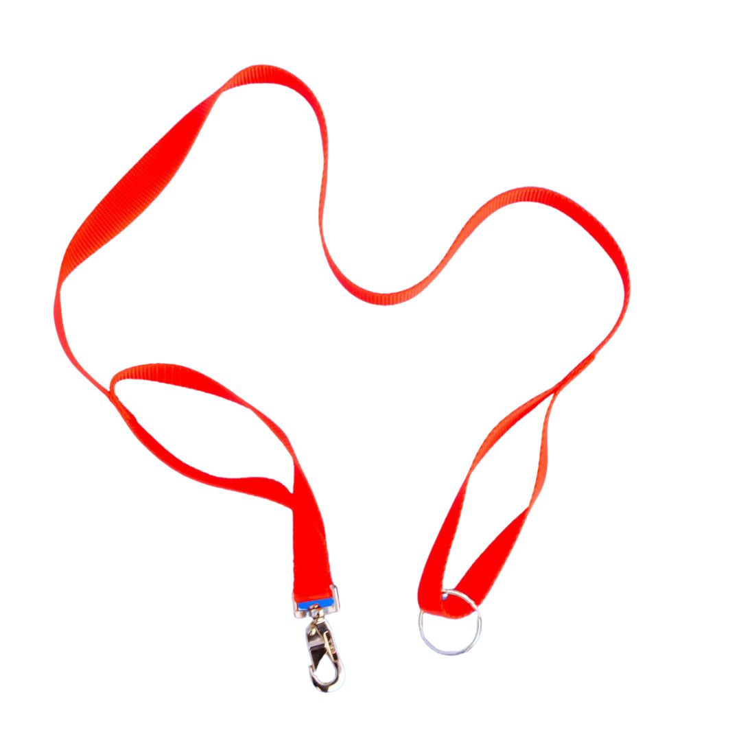 Resco Handling Safe Hunter Lead