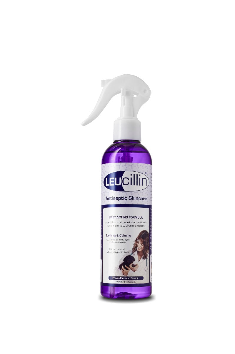 Leucillin Antiseptic Skin Care - 250ml
