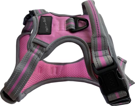 Hem & Boo Sports Harness - Pink