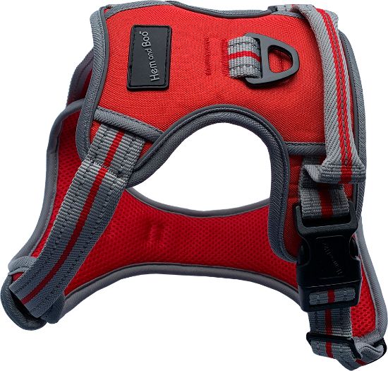 Hem & Boo Sports Harness - Red