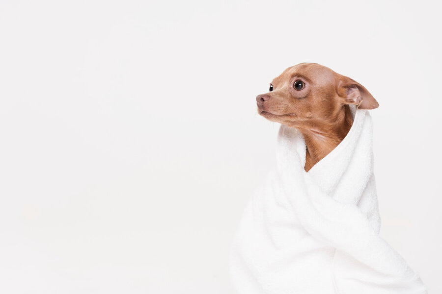 Baths, Bathing & Towels