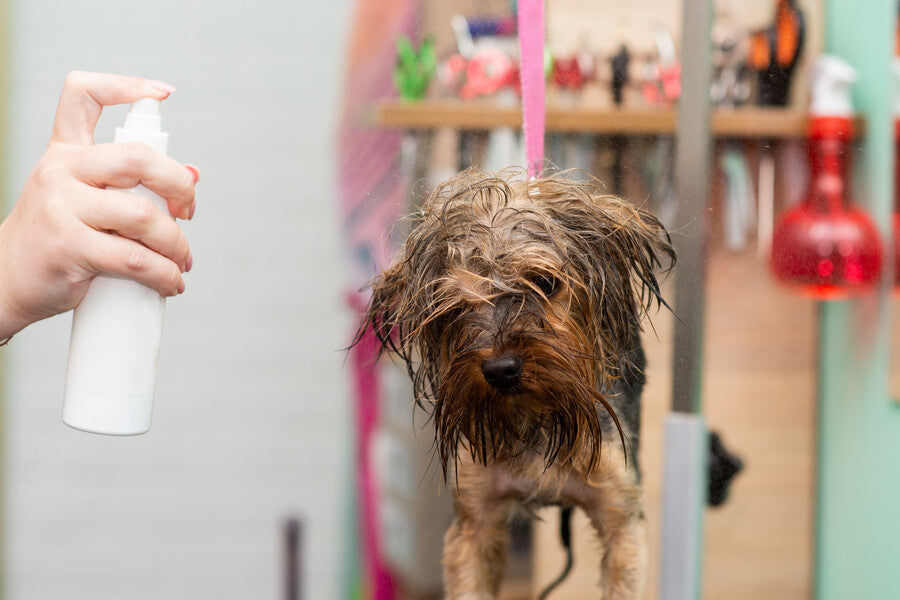 Coat Preparation & Finishing Sprays