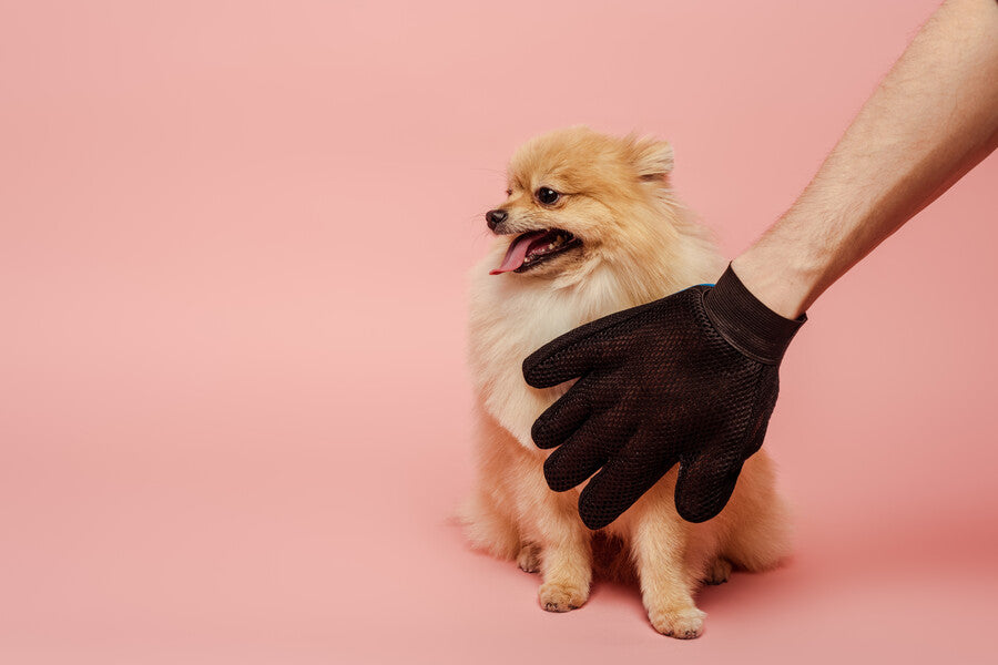 Grooming Gloves