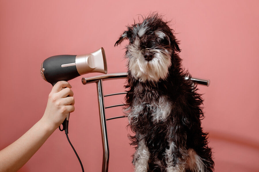 Handheld Dryers & Straighteners