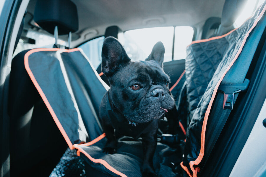 Seat Covers & Boot Liners