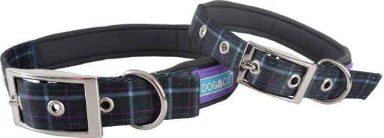 Hem and Boo Country Check Padded Collar Blue
