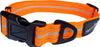 Hem and Boo Adjustable Sports Collar Orange