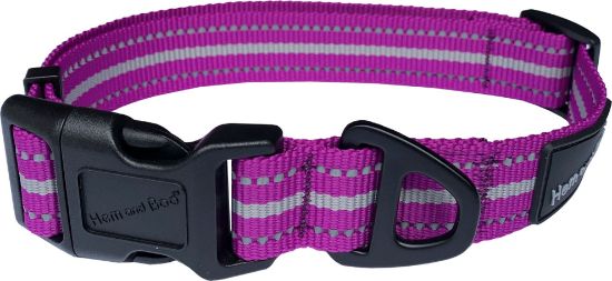 Hem and Boo Adjustable Sports Collar Purple