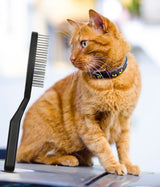 The Untangler Pro Professional Pet Brush with Long Rotating Teeth - T906PET