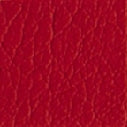 The Showdog Company Leather Show Lead Set