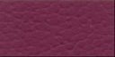 The Showdog Company Combination Leather & Braid Slip Show Lead
