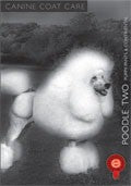 AMP Grooming DVD's