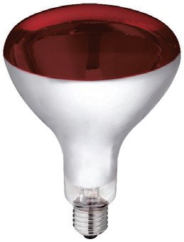Infrared Heat Lamp Bulb 250w