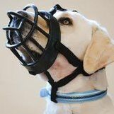Baskerville Ultra Muzzles