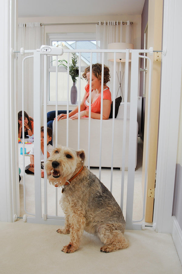 Bettacare Dog Gate