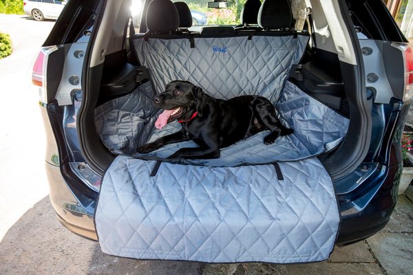 Henry Wag Boot and Bumper Protector