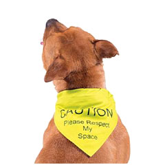 Warning Bandana