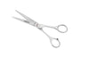 Petcetera  Polished Stainless 6.5" (16.5cm) SCISSORS