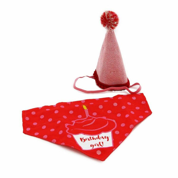 Ancol Birthday Hat and Bandana Pink