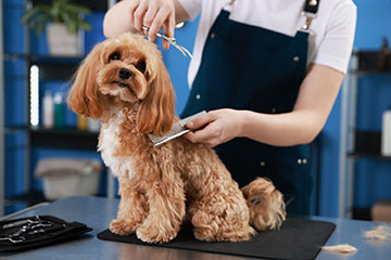 Grooming