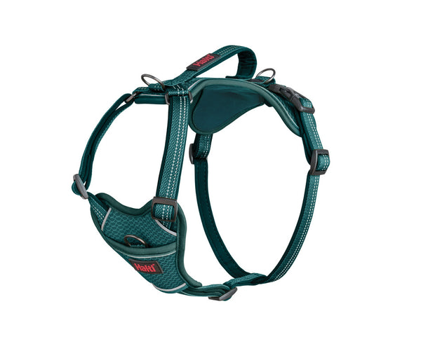 Halti Anatomy Harness in Teal