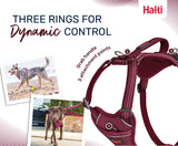 Halti Anatomy Harness in Teal