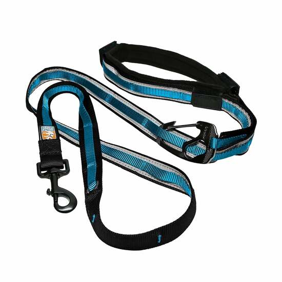 The Reflect & Protect Quantum Leash