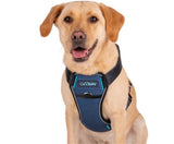 CarSafe Crash Tested Dog Harness in Blue
