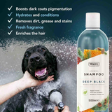 Wahl Deep Black Shampoo