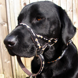 DM PADDED HEAD COLLAR 4