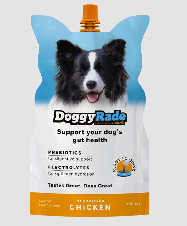 DoggyRade Chicken Prebiotic Drink for Dogs - 250ml