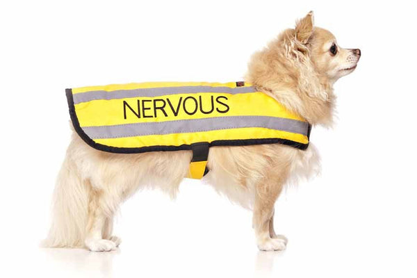 FriendlyDog Nervous Dog Coat