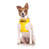 FriendlyDog Nervous Dog Vest Harness
