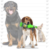 Silly Squeaker Beer Bottle Heinie Sniffer