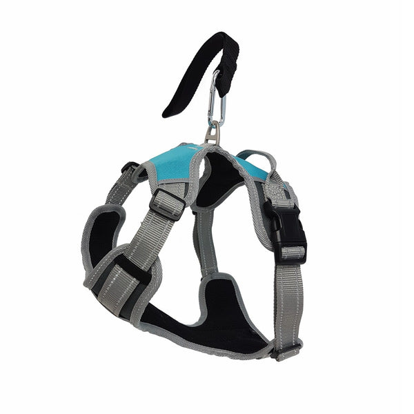 Henry Wag Dog Travel Harness
