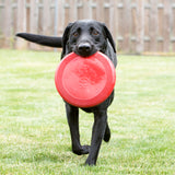 KONG Flyer Frisbee Large