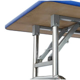 Groom Professional Matterhorn Foldable Dog Grooming Table