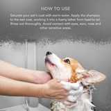 Wahl Oatmeal Essence Shampoo