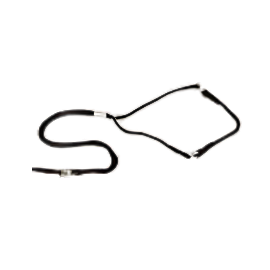 Nylon Show Lead with Wide Chin Strap