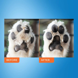 Wahl Paw Tidy Trimmer