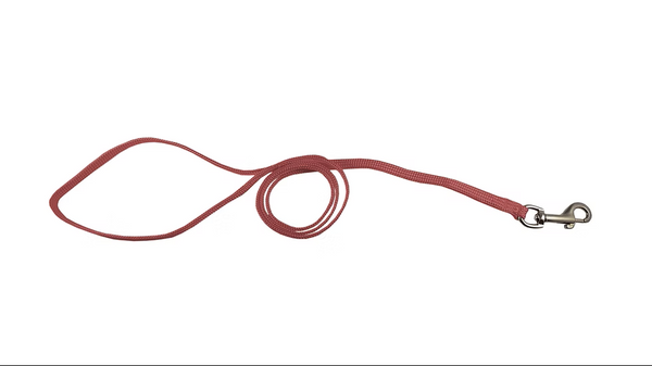 Resco Nylon Braided Snap Lead 91cm (36") RED