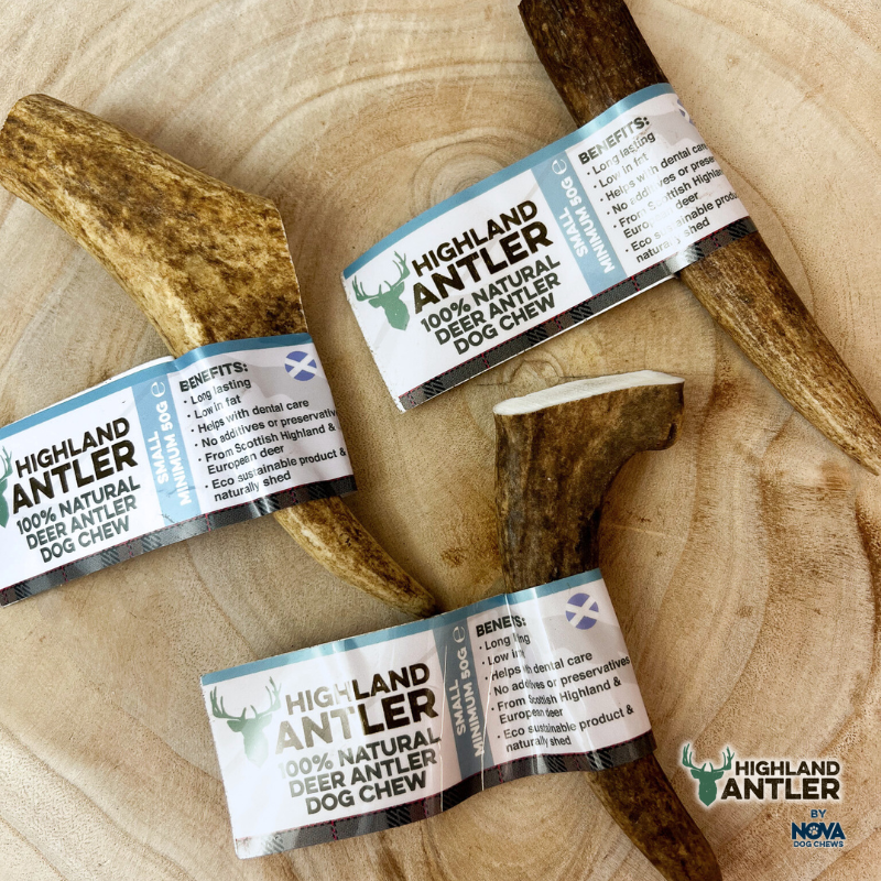 Nova Antos Antler
